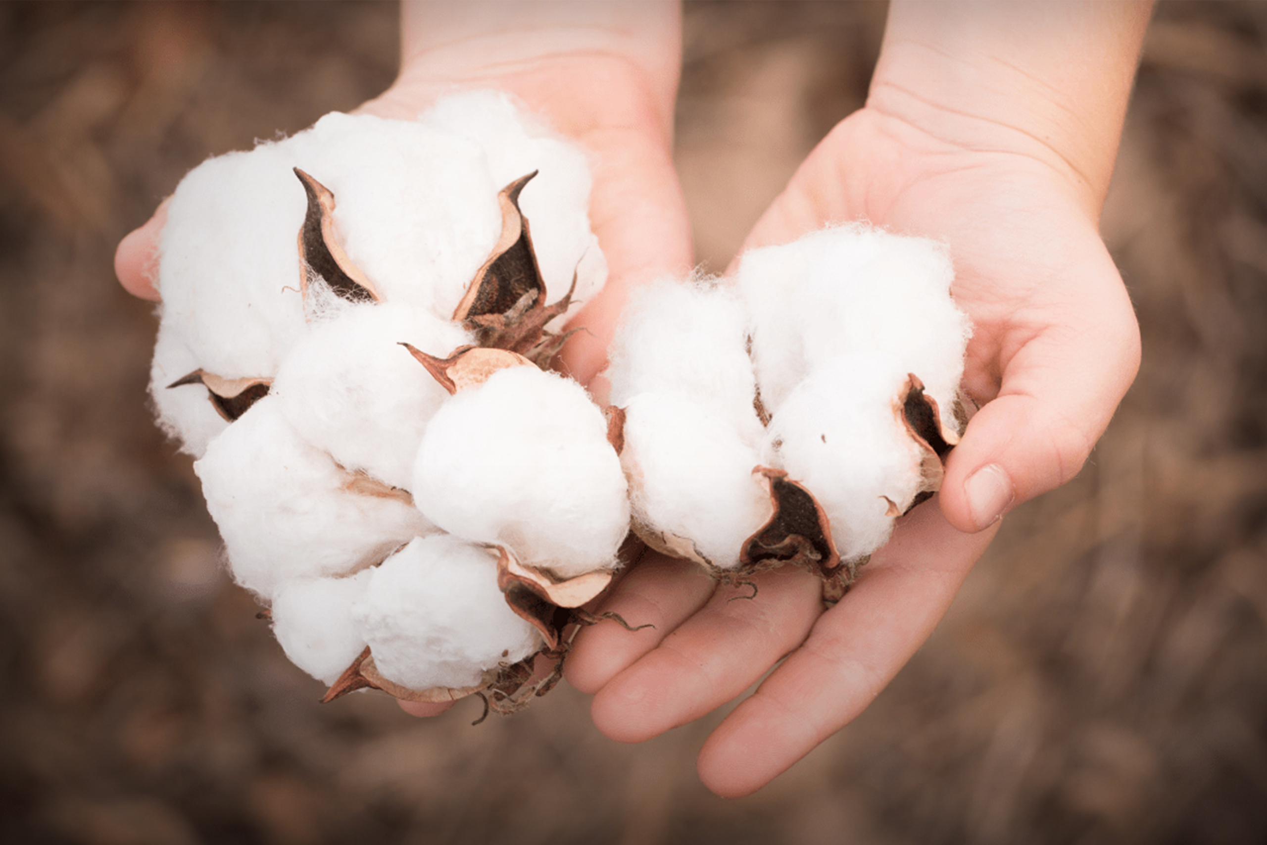 Our cotton, Organic, recycled, BCI cotton