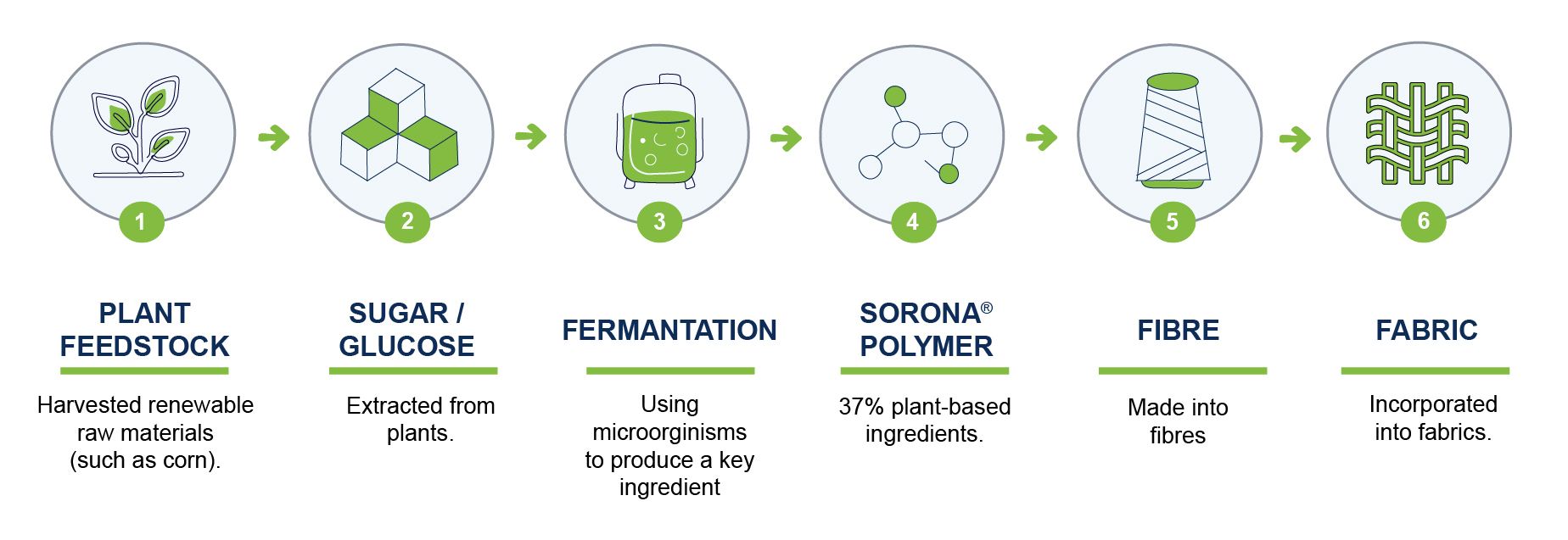 Sorona Graphic
